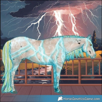 Horse Color:Void Painted Thunderstruck White Spotted Liver Chestnut Ice Pearl Mushroom Sabino 