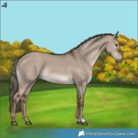 Horse Color:Liver Red Dun Mushroom 