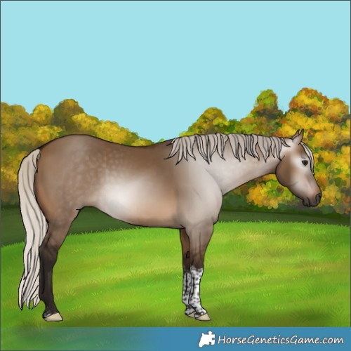 Horse Color:Gray Silver Brown Dun Tobiano 
