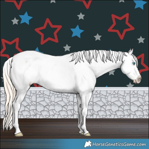 Horse Color:Smoky Creme Tobiano Appaloosa 
