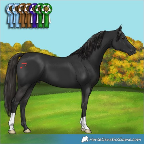 Horse Color:Liver Chestnut 