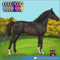 Horse Color:Brown 