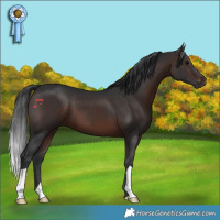 Horse Color:Brown 