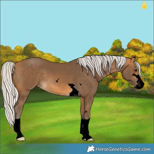 Horse Color:Void Silver Buckskin 