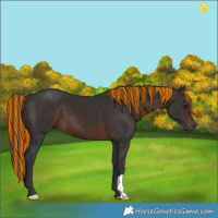 Horse Color:Painted Brown 