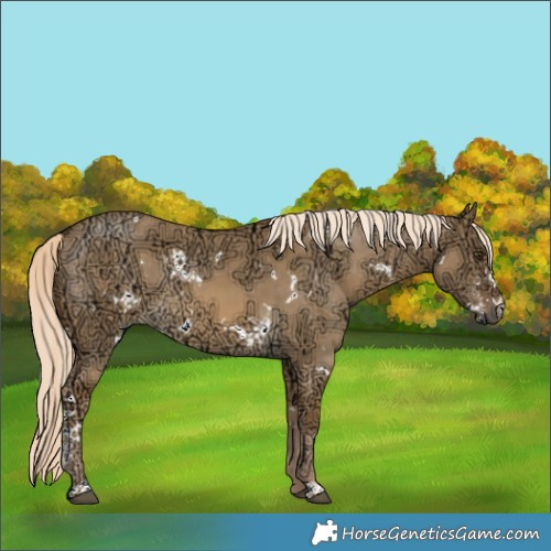 Horse Color:White Spotted Chocolate Palomino Ice Dun Sabino 