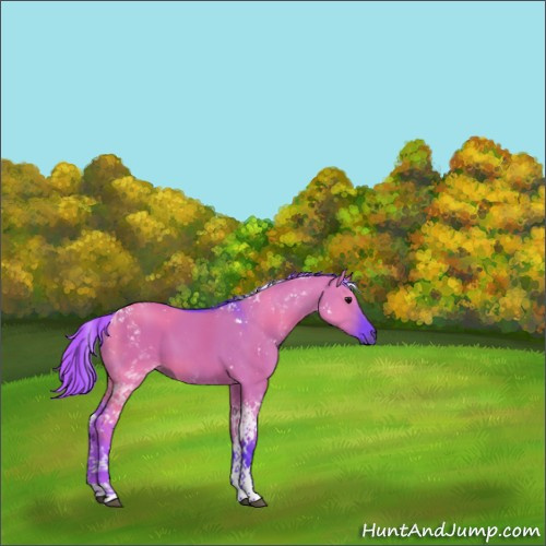 Horse Color:Watercolor Grullo Tobiano 