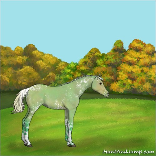Horse Color:Watercolor White Spotted Silver Brown Dun Tobiano 