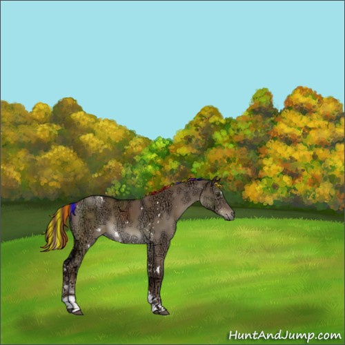 Horse Color:Painted White Spotted Liver Red Dun Ice Tobiano Rabicano 