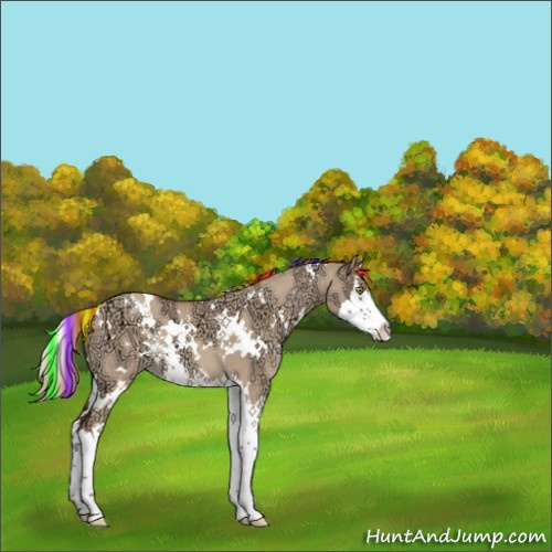 Horse Color:Painted White Spotted Gold Champagne Ice Dun Splash 