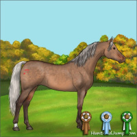 Horse Color:Silver Brown Dun Rabicano 