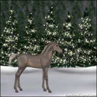 Horse Color:Silver Black Rabicano 