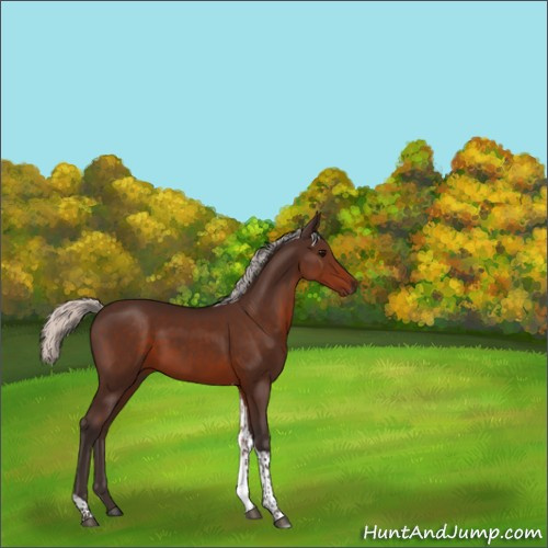 Horse Color:Silver Brown Tobiano 