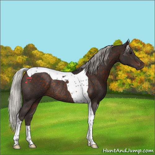 Horse Color:Silver Brown Tobiano Rabicano