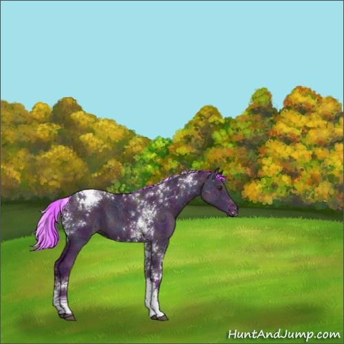 Horse Color:Watercolor White Spotted Midnight Liver Red Dun Ice Tobiano 