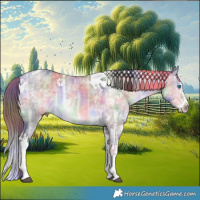 Horse Color:Platinum Nacre Buckskin Ice Dun Splash Tobiano 