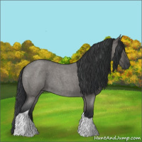 Horse Color:Grullo Roan Tobiano 