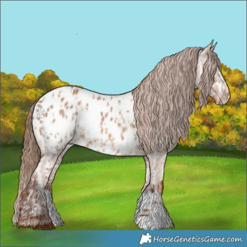 Horse Color:Red Dun Appaloosa  and Red Dun Appaloosa 