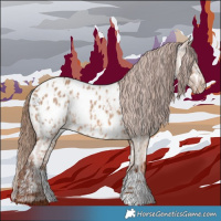 Horse Color:Red Dun Near Leopard  and Red Dun Blanket 
