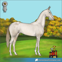 Horse Color:Smoky Black Pearl Varnish