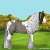 Horse Color:Grullo Splash Tobiano 
