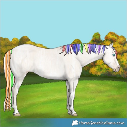 Horse Color:Painted Silver Perlino Ice Dun Splash Tobiano 