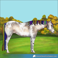 Horse Color:Painted Brown Ice Onyx Tobiano Frame 