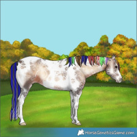 Horse Color:Painted Brown Ice Onyx Splash Tobiano Frame 