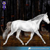Horse Color:Brown Pearl Dun Tobiano Appaloosa Rabicano