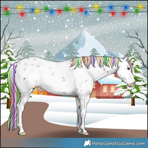 Horse Color:Painted Liver Chestnut Sabino Rabicano 