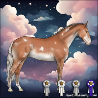 Horse Color:White Spotted Silver Brown Tobiano Appaloosa