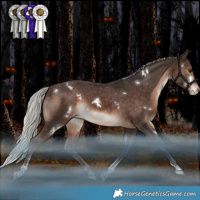 Horse Color:White Spotted Silver Brown Tobiano Varnish 