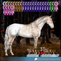 Horse Color:White Spotted Silver Brown Pearl Dun Tobiano Appaloosa Rabicano 