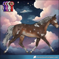 Horse Color:White Spotted Silver Brown Tobiano