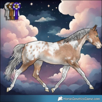 Horse Color:White Spotted Silver Brown Pearl Tobiano Appaloosa 