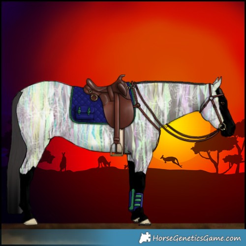 Horse Color:Void Smoky Grullo Ice Splash 