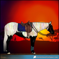 Horse Color:Void Silver Buckskin Ice Splash 
