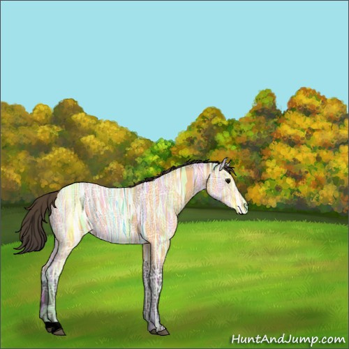 Horse Color:Void Buckskin Ice 