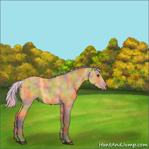 Horse Color:Nacre Silver Buckskin 