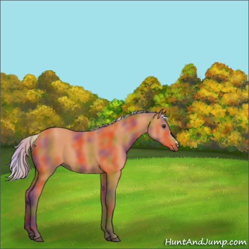 Horse Color:Nacre Silver Buckskin 