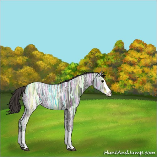 Horse Color:Smoky Black Ice Splash 