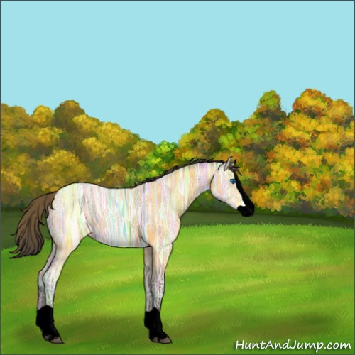 Horse Color:Void Buckskin Ice Splash 