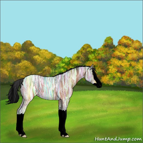 Horse Color:Void Bay Ice Splash 