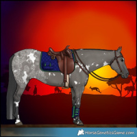 Horse Color:White Spotted Grullo Ice 