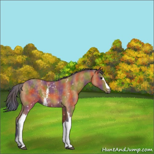 Horse Color:Nacre White Spotted Buckskin 