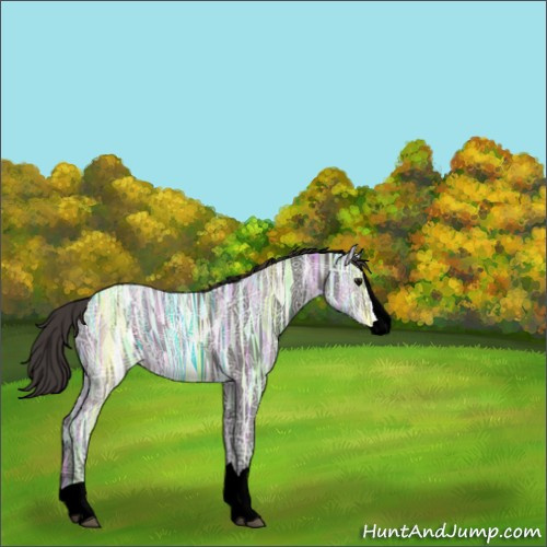 Horse Color:Void Smoky Black Ice Splash 