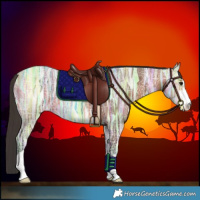 Horse Color:Bay Ice 