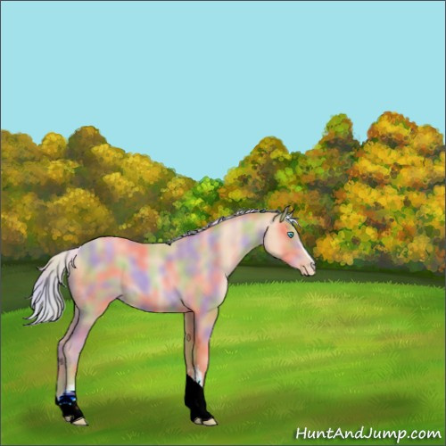 Horse Color:Nacre White Spotted Silver Buckskin Pearl Tobiano 