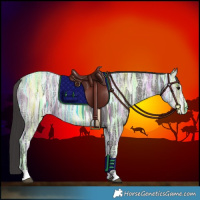 Horse Color:Smoky Black Ice 