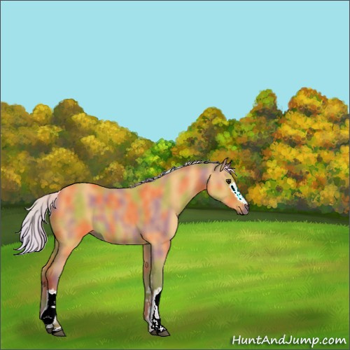 Horse Color:Nacre White Spotted Silver Buckskin 